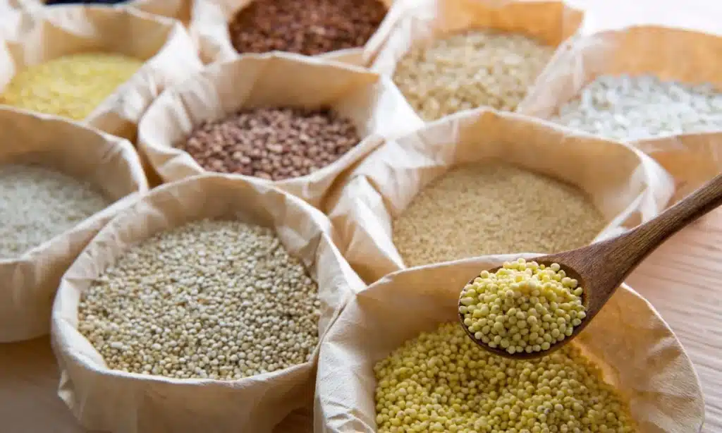 Millets-in-Urban-Kitchens-Incorporating-Indian-Traditional-Grains-into-Modern-Diets-1024x614