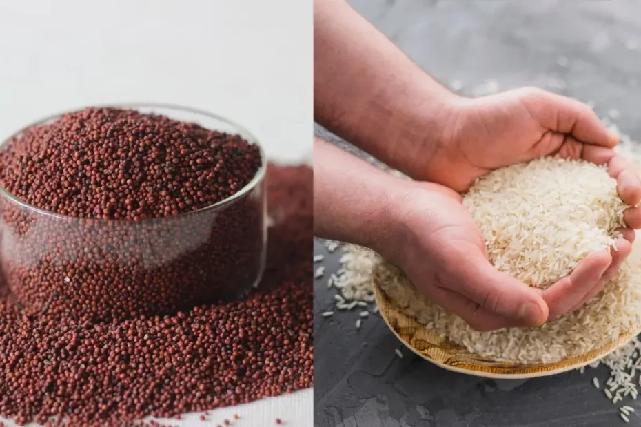 Which is Better- Ragi or Rice-Blog