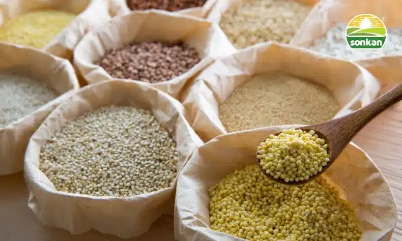 Know Your Millets-Understanding the Healthiest Millets in India