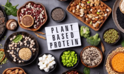 Bowl of various vegan protein sources like beans, lentils, nuts, and seeds