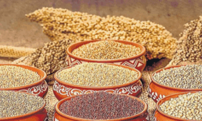 Journey of millets in Indian markets – from farm to table