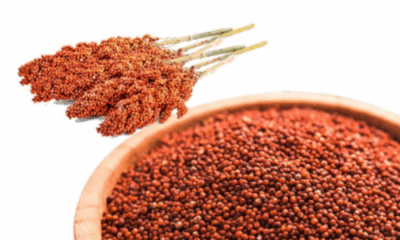 Ragi millet bowl with fruits and nuts — natural iron-rich food to boost hemoglobin