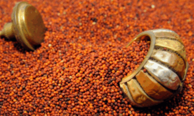 Ragi grains and warm Ragi porridge in a bowl during winter