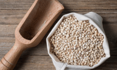 Lactomalt Bajra Satva enriched with Shatavari for lactation support