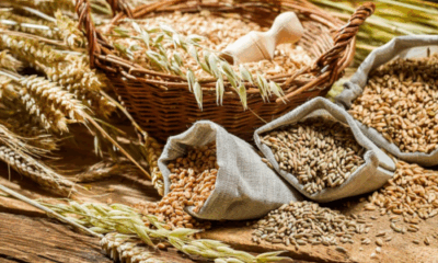 Bowl of warm millet porridge eaten before bed for better sleep and digestion