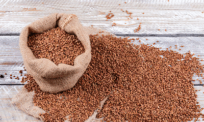 Finger millet (Ragi) grains and flour with a healthy Ragi dish