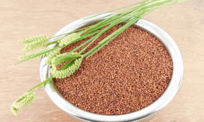 Sonkan Foods multi-millet products on a rustic table