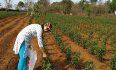 Symbol of new beginnings – sunrise over a horizon